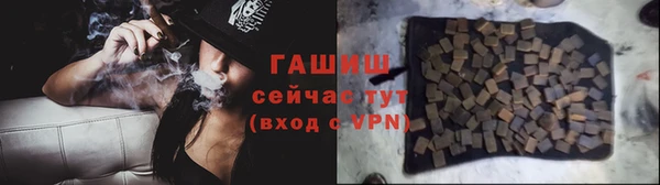 Альфа ПВП Верея