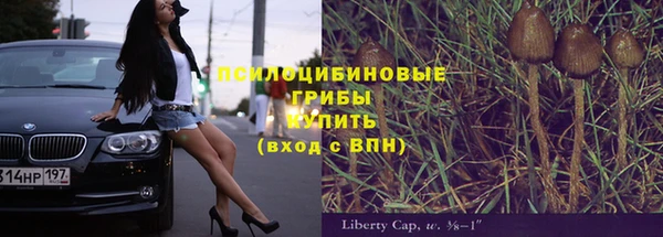 Альфа ПВП Верея