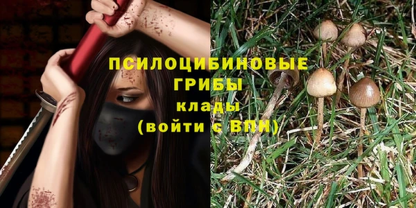 спиды Бородино