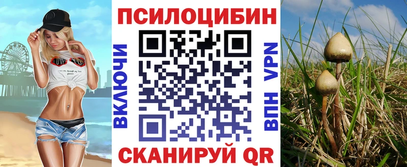 Псилоцибиновые грибы мицелий  хочу   Ленск 